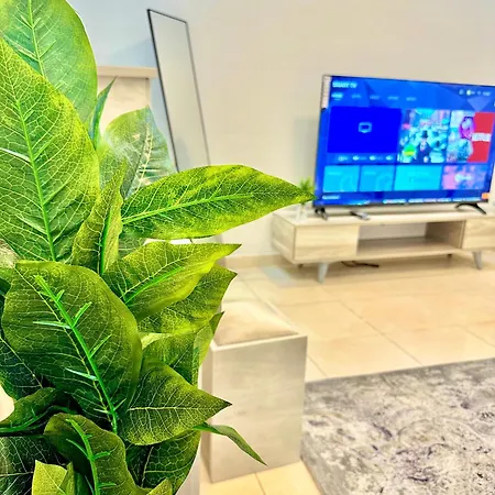 استديو رقم 4 باثاث انيق ومودرن ودخول ذاتي-2