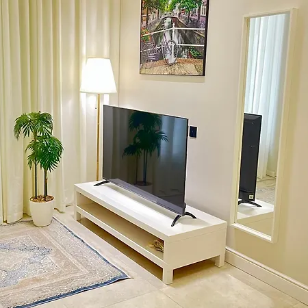 Palm Studio-2