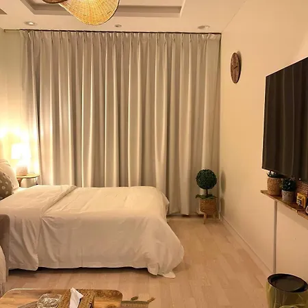 Reefy Studio-3