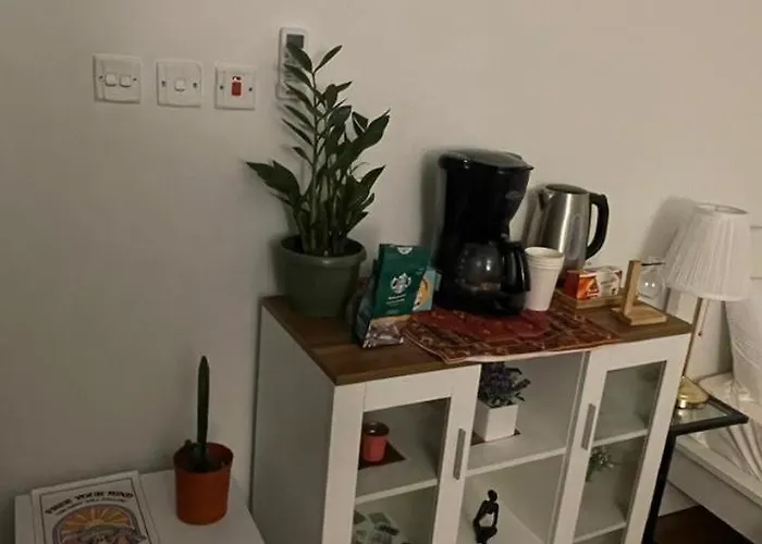 استوديو واحة البـوهّو Boho Oasis