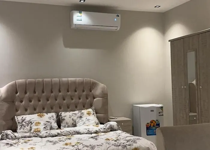 استديو دخوول ذاتي ذكي